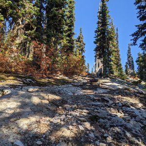 Meet your Posher, Alanna